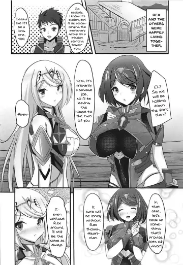 [Okatora] HOMUHIKAex Fhentai - Page 3