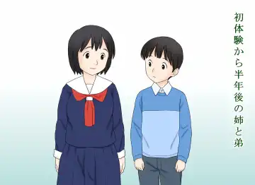 Read [Atori K] Seikoui o Oboete shimatta Ane to Otouto no Sonogo - Fhentai