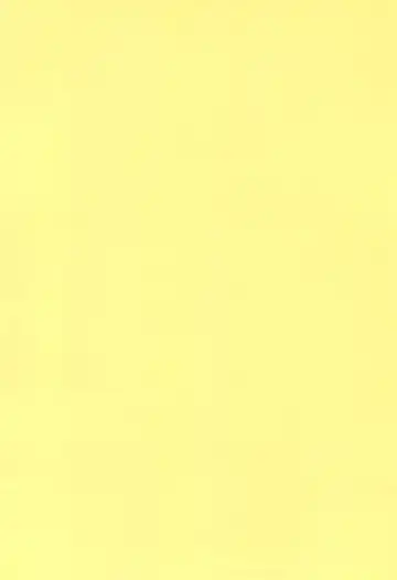 [Yokoyama Chicha] Hana Hana Fhentai - Page 4