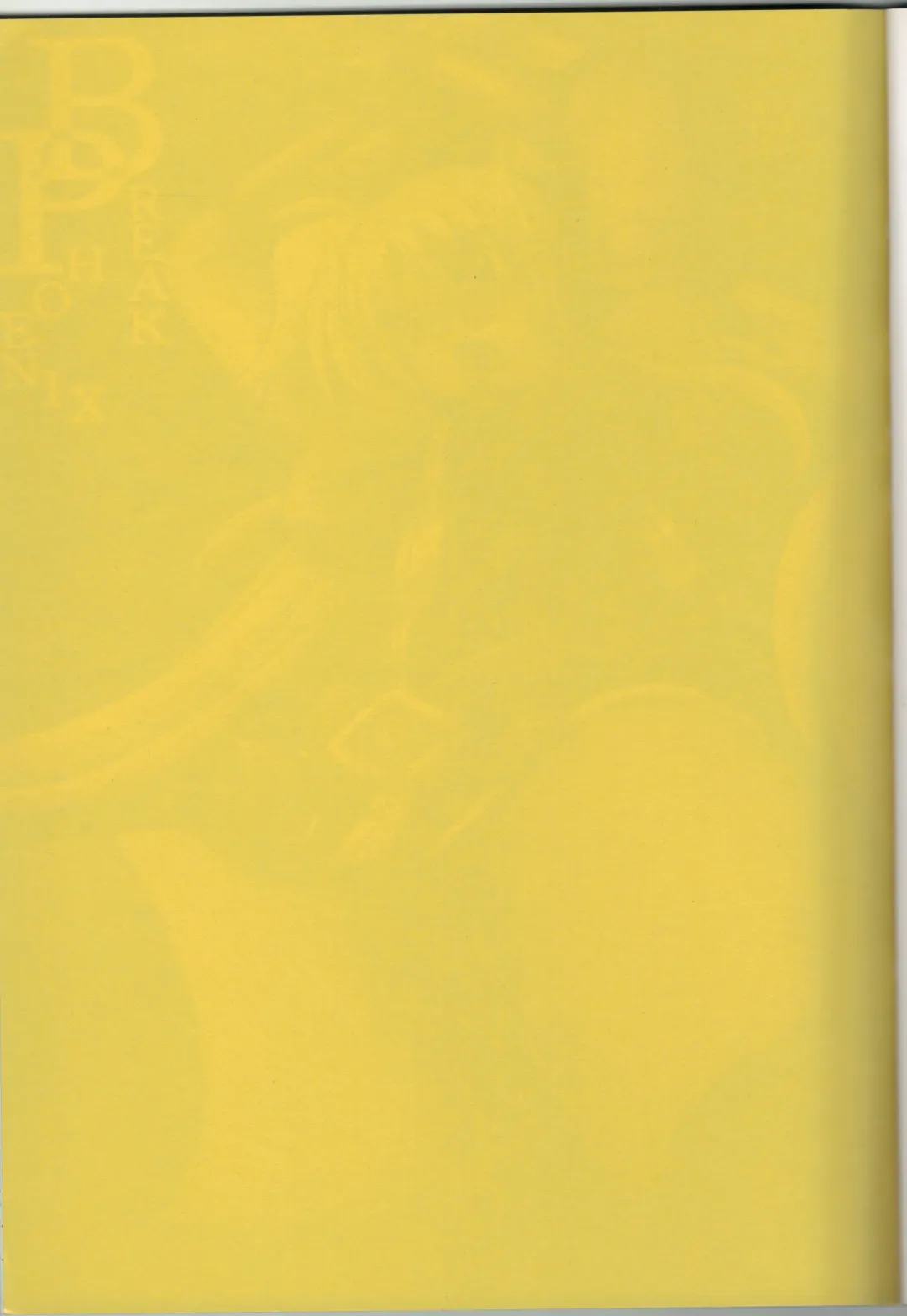 [Kirimomi Shoot] BREAK PHOENIX Fhentai - Page 2