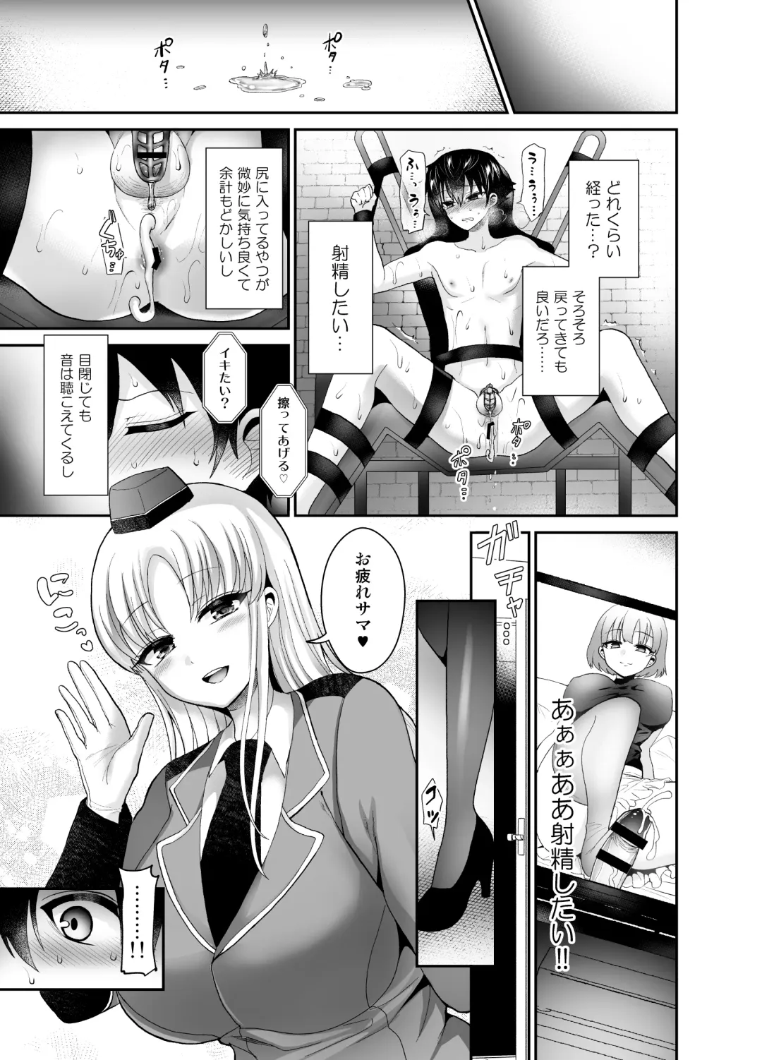 [Piririnegi] Higyaku Seiai Catharsis Fhentai - Page 17