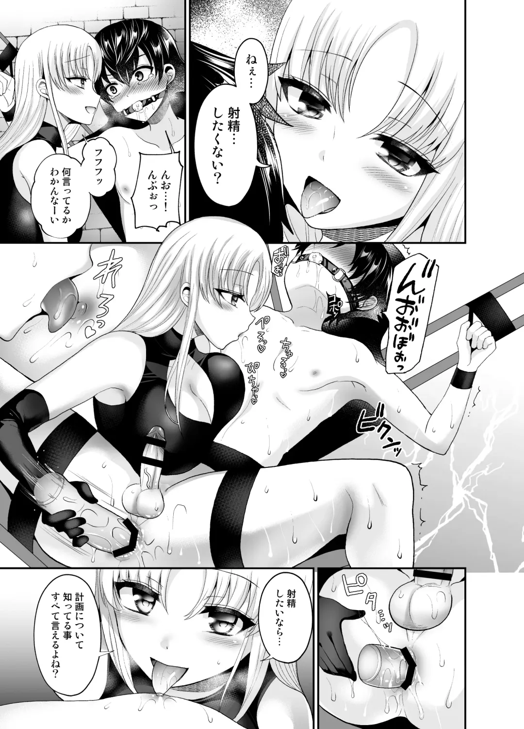 [Piririnegi] Higyaku Seiai Catharsis Fhentai - Page 23