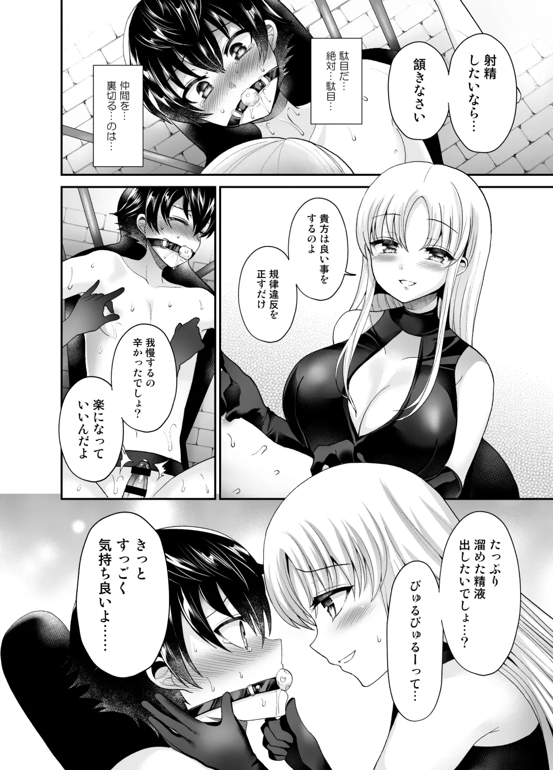 [Piririnegi] Higyaku Seiai Catharsis Fhentai - Page 24