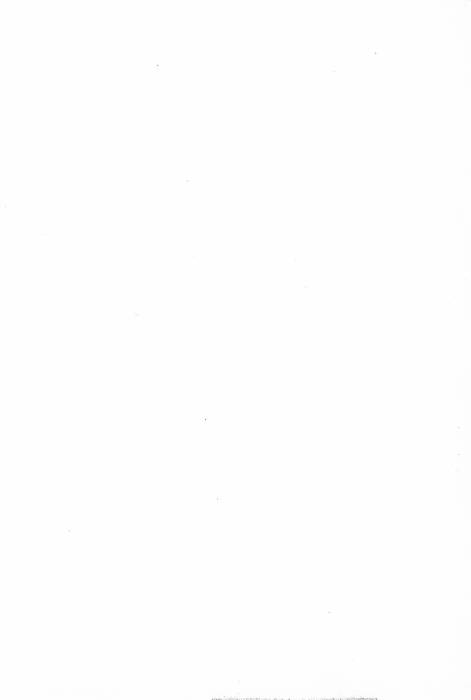 [Anyakunin] Himitsu no Love ☆ Attack Fhentai - Page 4