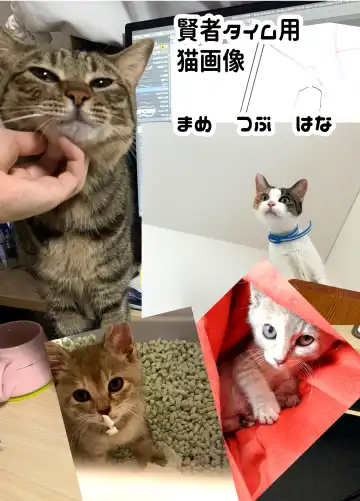 [Kuga Mayuri] Papa wa Musume ga Daisuki Fhentai - Page 45