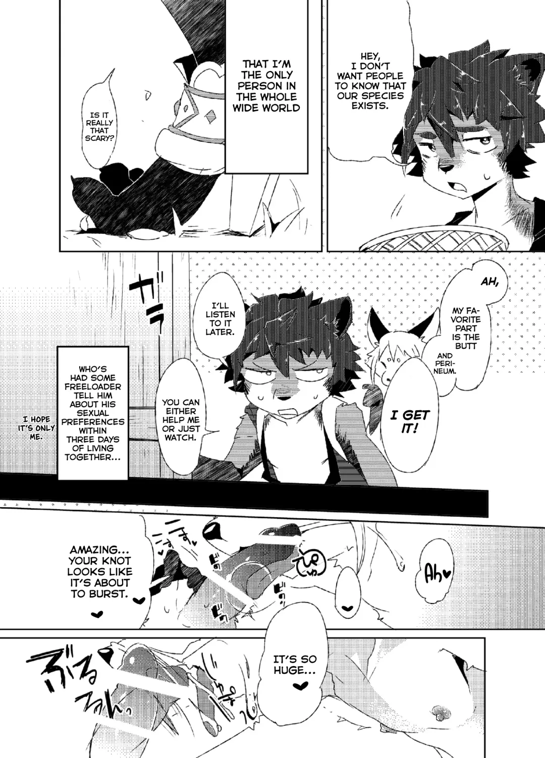 [Shiroi] Kori Muchuu -Kitsune no Yomeiri- Fhentai - Page 5