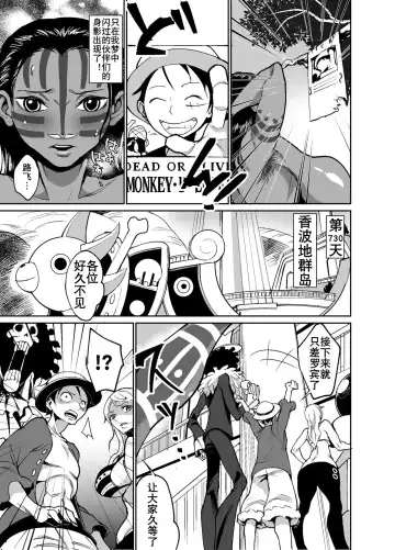 [Hamiltan] Nico Robin no Ibunka Kouyuuroku | 女考古学家异文化交流行 Fhentai - Page 33