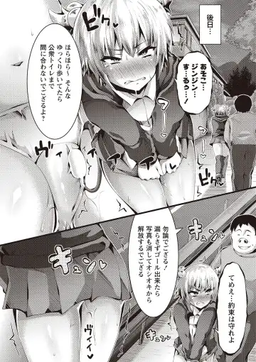 [Bookmoun10] Mesu Dorei Seisakusho Fhentai - Page 17