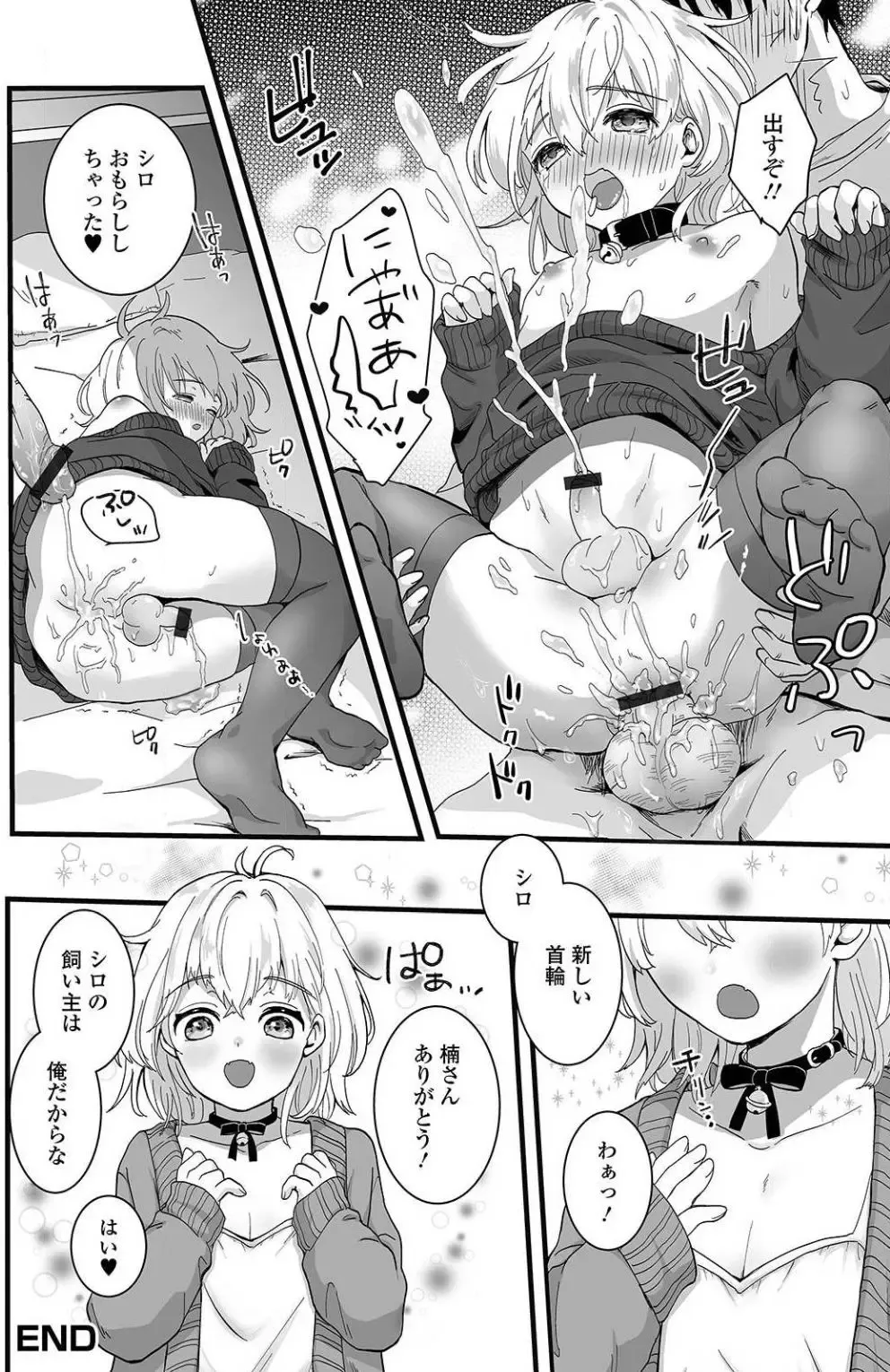[Okuta Kei] Suteneko Shiro wa Ore no Pet Fhentai - Page 18
