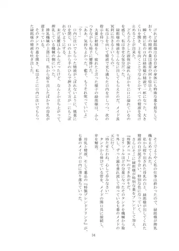 [Tiasti] Kaihen sareta Sekai no Katasumi de ~ Maid Inuyama Chitose Hen ~ Fhentai - Page 35