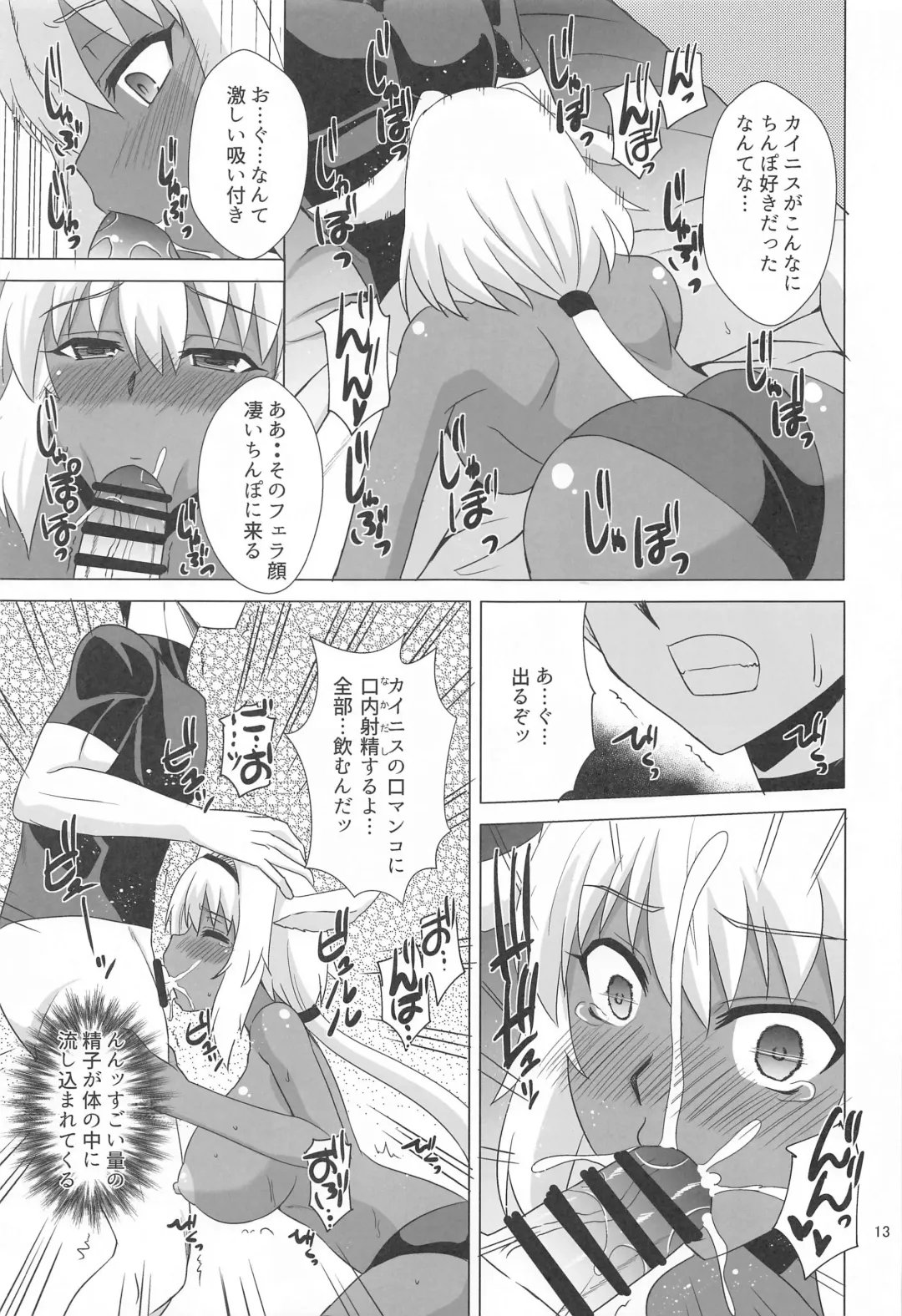 [Zeros] Caenis to Sugosu Kyuujitsu Fhentai - Page 12