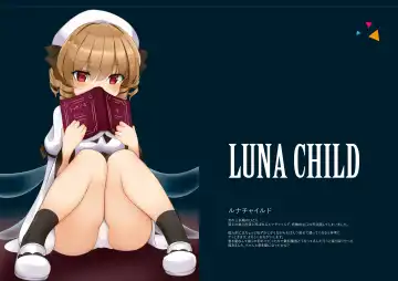 [Tumiki Akeno] Touhou Shungashuu Youyuugiroku Fhentai - Page 5