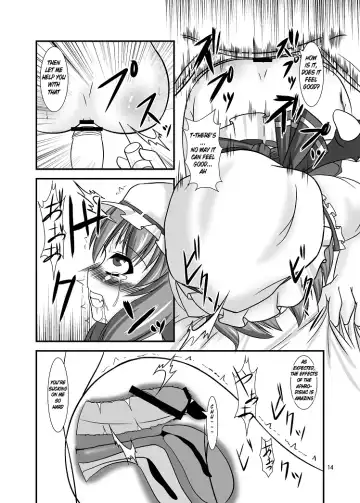[Yasha] Midare Gensou -Remilia hen- Fhentai - Page 14