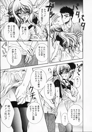 [Akira Renji] Chijyoku Hime Fhentai - Page 13