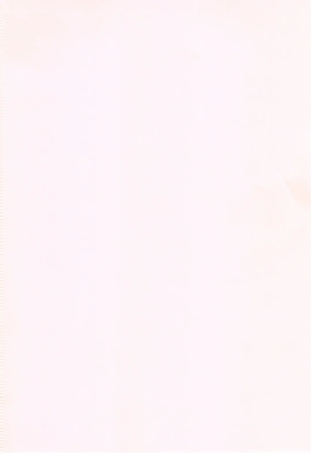 [Azuma Tesshin] Ochite Torokete + Toranoana Leaflet Fhentai - Page 219