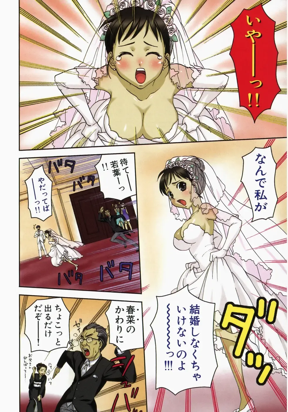 [Kitakawa Touta] Wakaba Mariji Fhentai - Page 4
