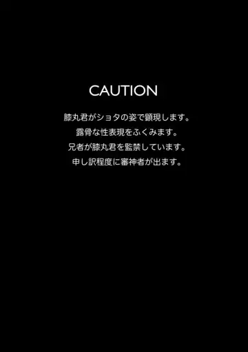 [Sato] Chiisana Otouto Fhentai - Page 3