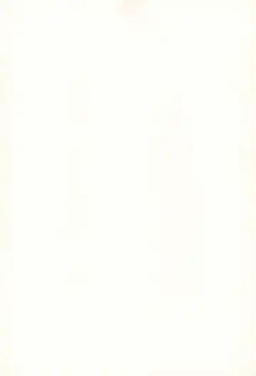 [Mayafufu -kakko- Kashikoi] Kanoka Challenge_plot 2 Fhentai - Page 29