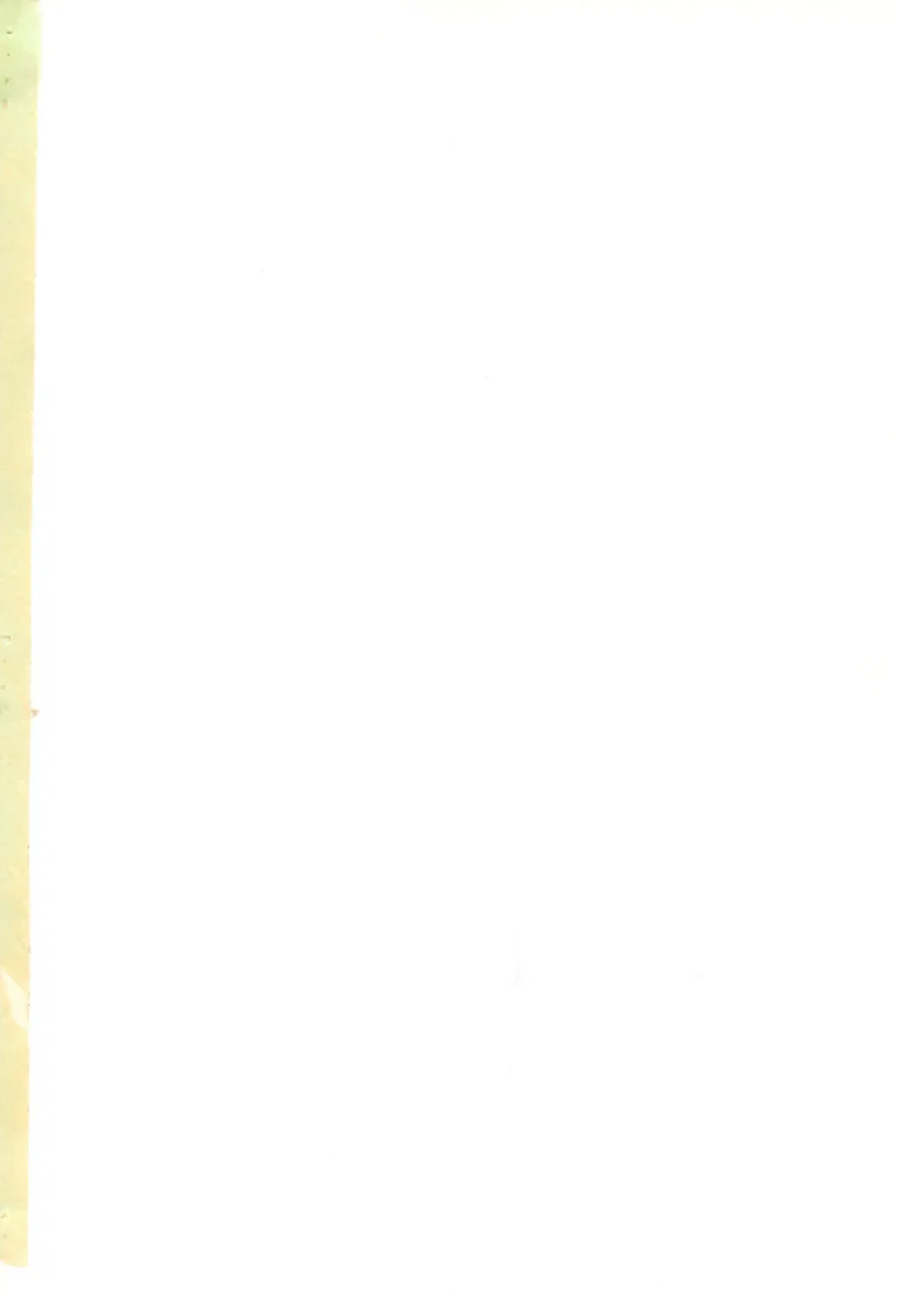 [Gabagobogebe] Delicate Sound of Thunder Fhentai - Page 2