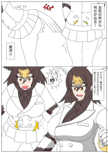 [Inaba - Shikoripa] Change the brilliance! !! Kemono Friends TSF Joint Fhentai - Page 11