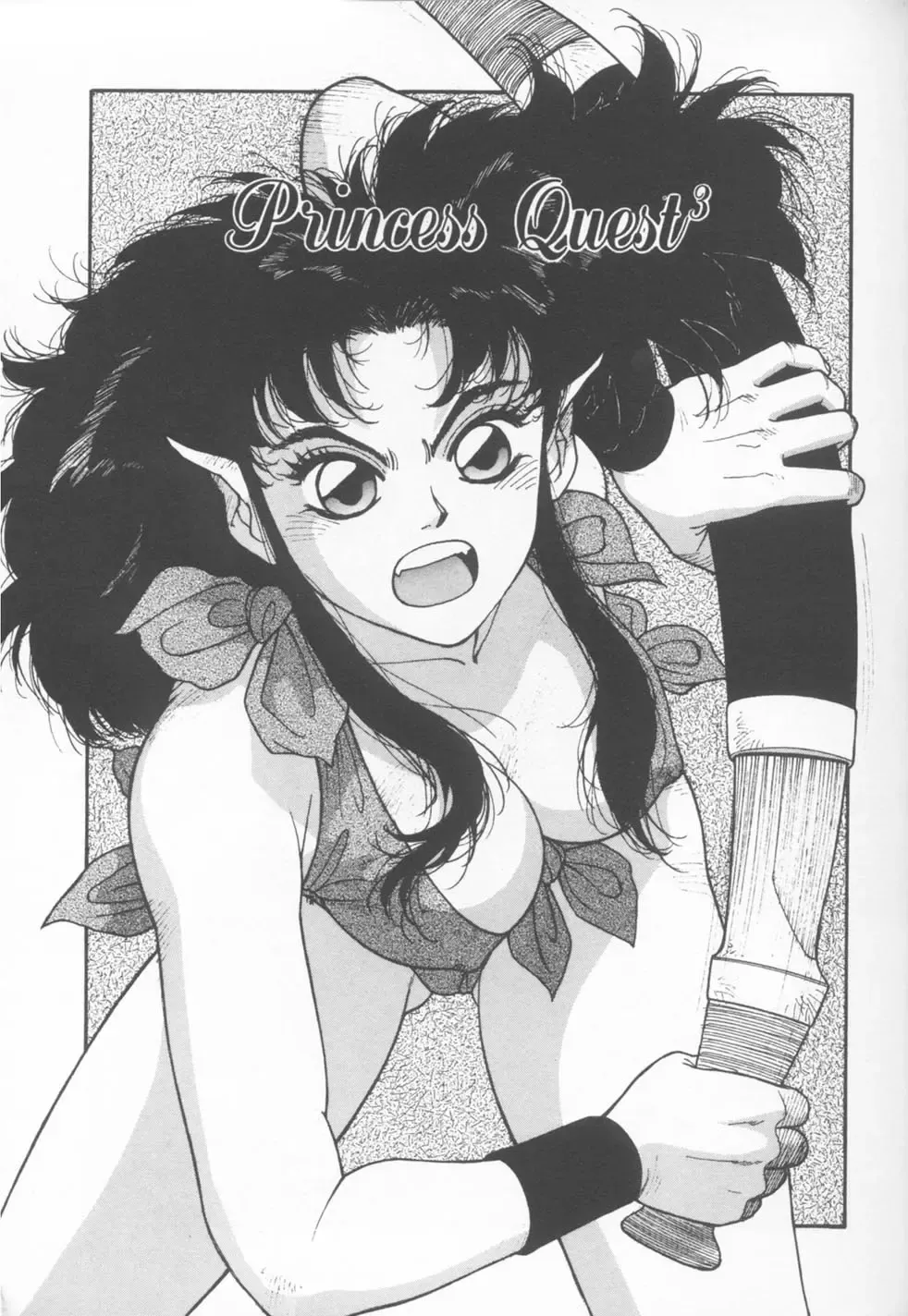 [Yui Toshiki] Princess Quest Saga Fhentai - Page 89