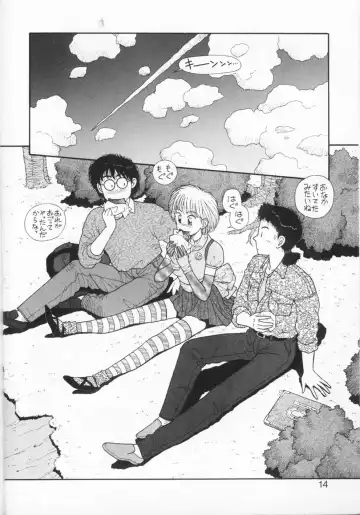 [Yui Toshiki] Princess Quest Saga Fhentai - Page 14