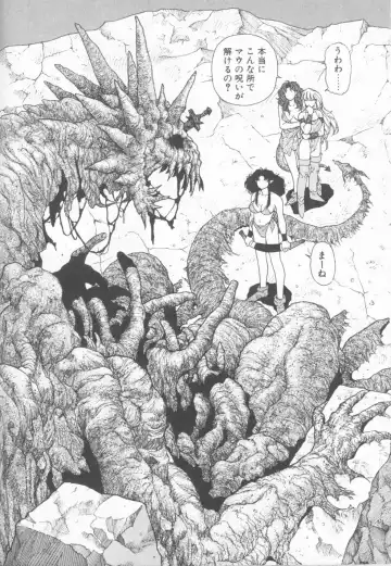 [Yui Toshiki] Princess Quest Saga Fhentai - Page 144