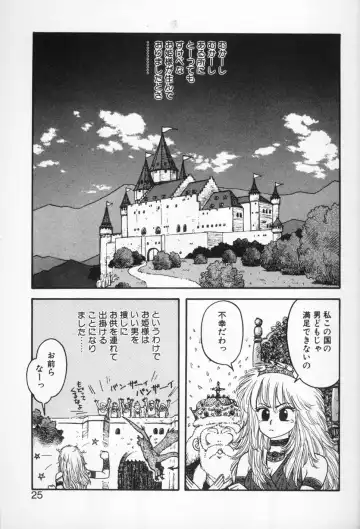 [Yui Toshiki] Princess Quest Saga Fhentai - Page 25