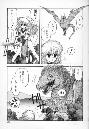 [Yui Toshiki] Princess Quest Saga Fhentai - Page 29