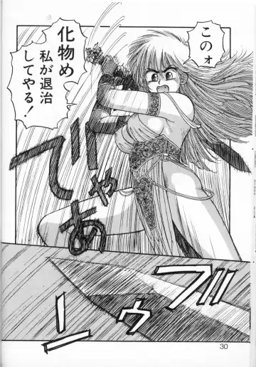 [Yui Toshiki] Princess Quest Saga Fhentai - Page 30