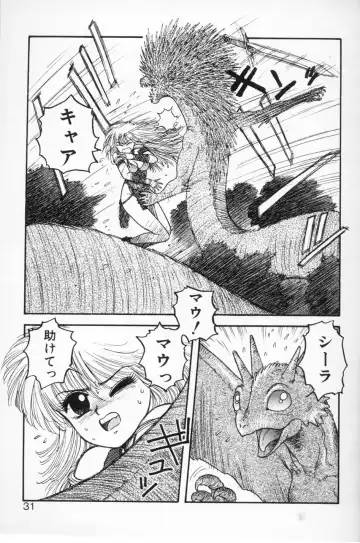 [Yui Toshiki] Princess Quest Saga Fhentai - Page 31