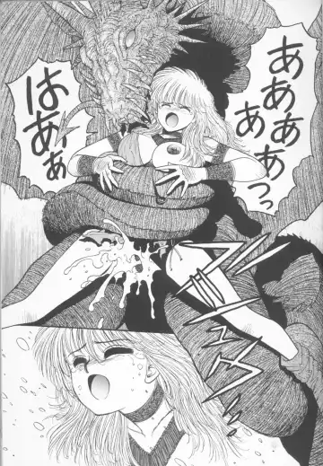 [Yui Toshiki] Princess Quest Saga Fhentai - Page 55