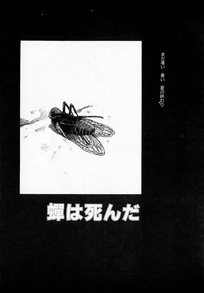 [Akiba Nagi] Houkago Fhentai - Page 141