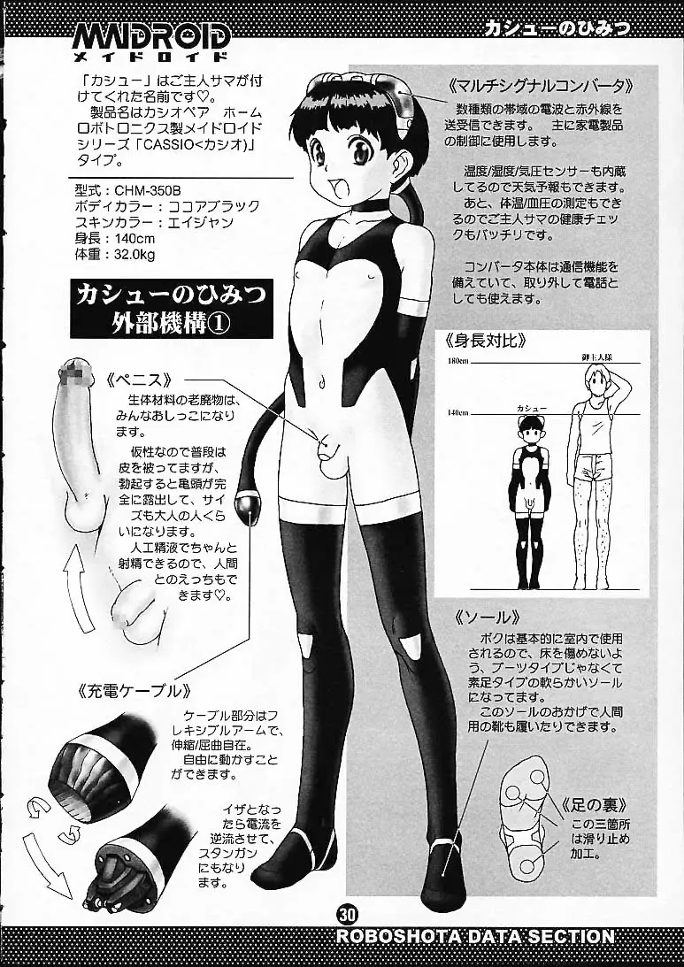 [Po-ju] Maidroid Fhentai - Page 29