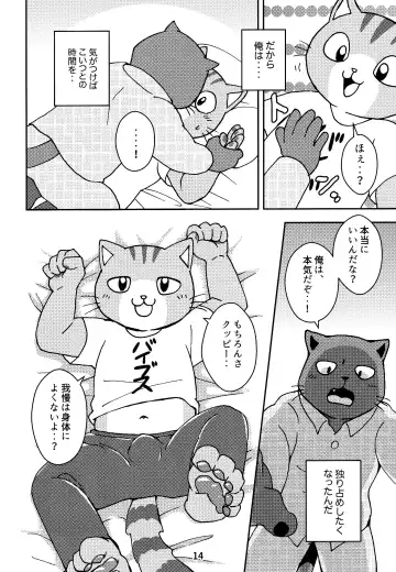 [Kajitsu] Kagayake! Onii-san Fhentai - Page 14