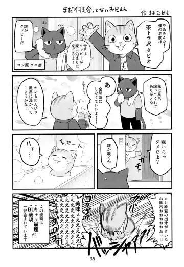 [Kajitsu] Kagayake! Onii-san Fhentai - Page 35