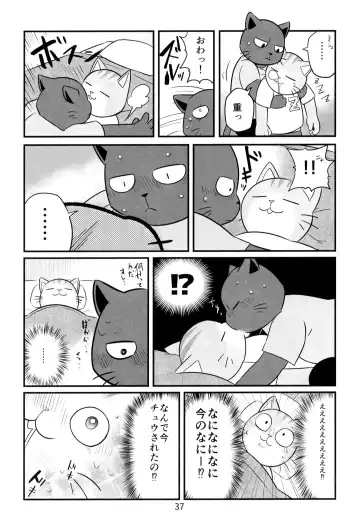 [Kajitsu] Kagayake! Onii-san Fhentai - Page 37