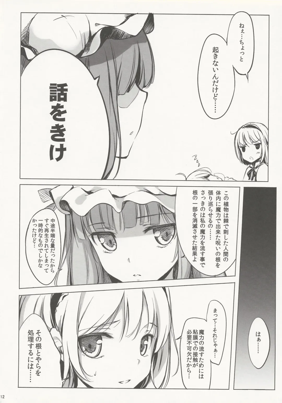 [Ke-ta] SLEEPING MAGE -Mahou no Mori no Nemurihime- Gekidoku Shoujo Publication Number VII Fhentai - Page 11