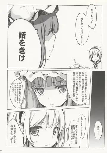 [Ke-ta] SLEEPING MAGE -Mahou no Mori no Nemurihime- Gekidoku Shoujo Publication Number VII Fhentai - Page 11