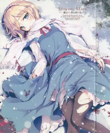 [Ke-ta] SLEEPING MAGE -Mahou no Mori no Nemurihime- Gekidoku Shoujo Publication Number VII Fhentai - Page 27