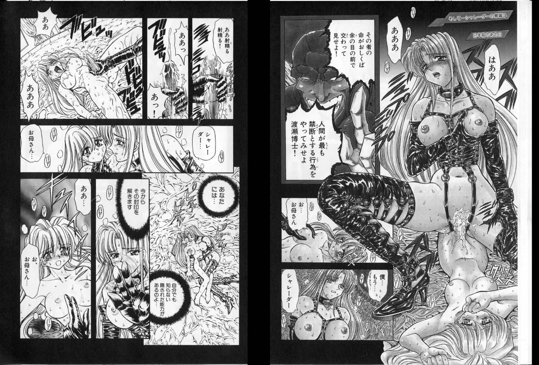 [Maro] Shalader Vol. 2 - The Past and the Future Fhentai - Page 20