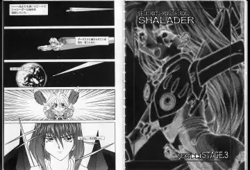 [Maro] Shalader Vol. 2 - The Past and the Future Fhentai - Page 47