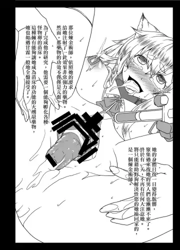 [Sera] Hikari no Seirei Fhentai - Page 14