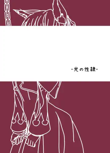 [Sera] Hikari no Seirei Fhentai - Page 17