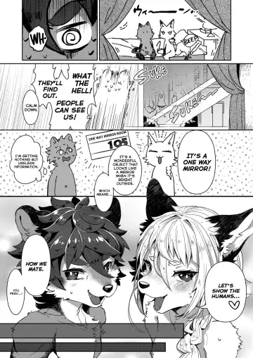 [Shiroi] Kori Muchuu San Kitsune to Tanuki no Mutsumiai Fhentai - Page 18