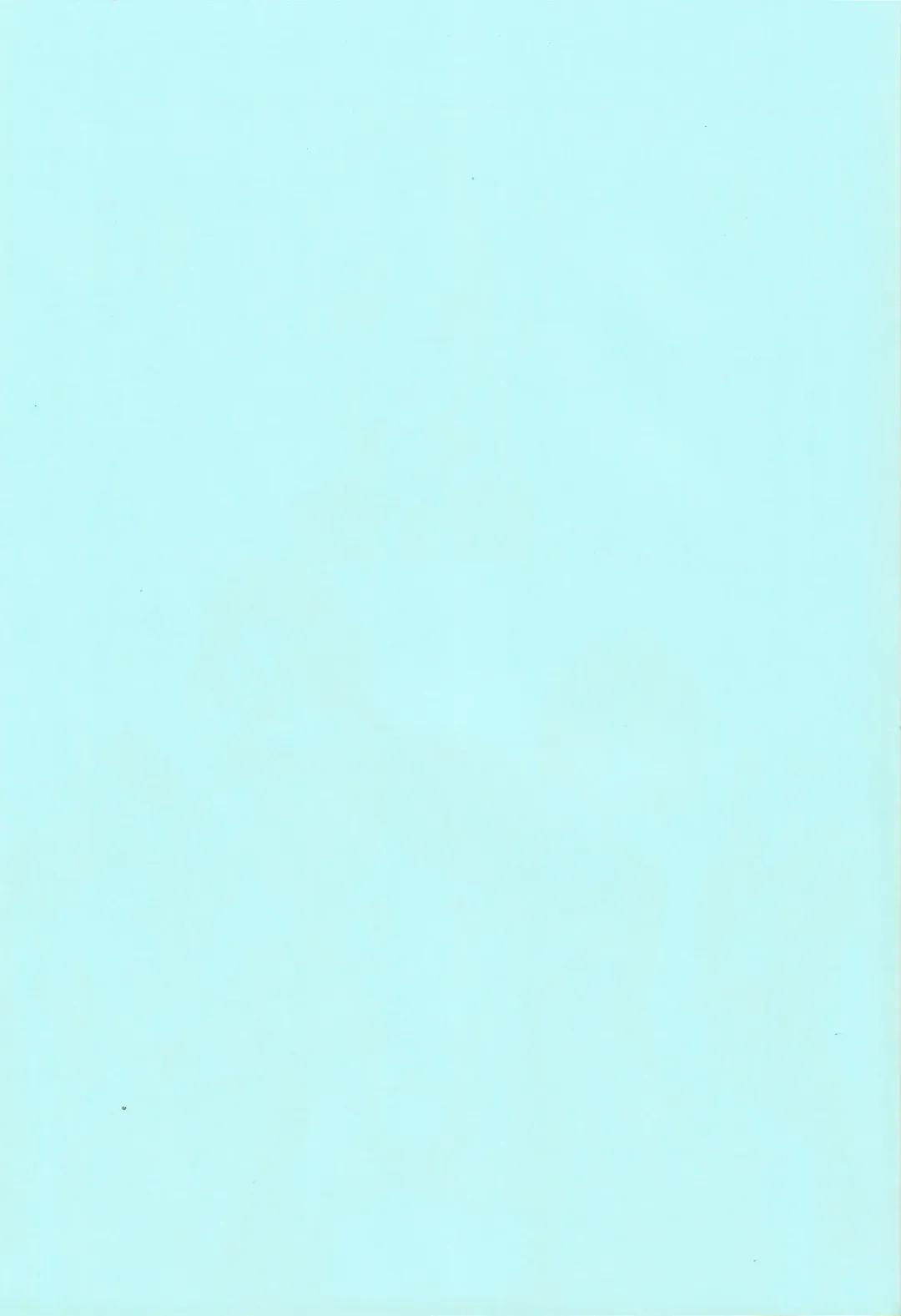 [Auman Zureedus] Pillow Color Fhentai - Page 2