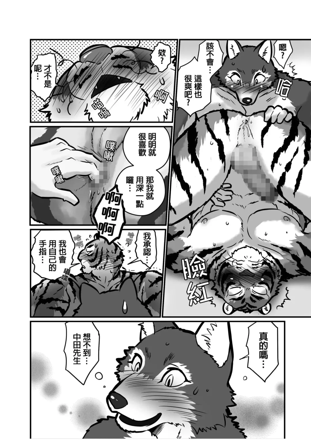 [Maririn] Ookami Sensei Tora Tou-san | 狼老師&虎爸爸 Fhentai - Page 20