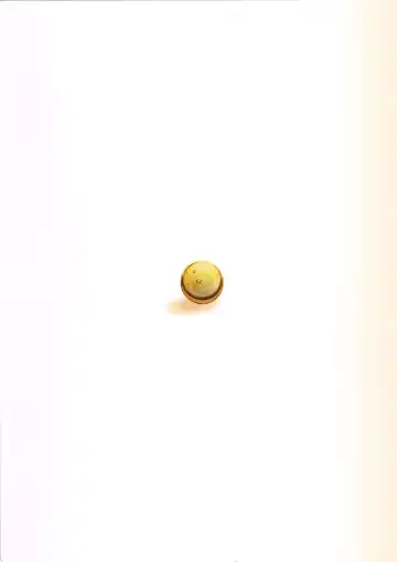 [Gai - Yuuki.] Sozoro na Ai no Kakushikata. Fhentai - Page 26