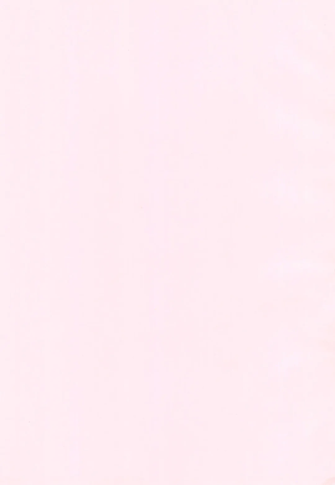 [Mint Green] Rika-chan no Hon Fhentai - Page 3