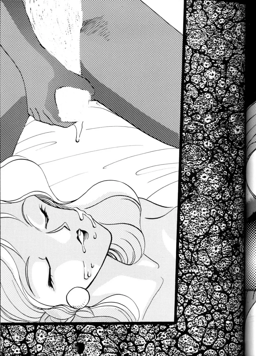 [Manda Ringo - Zekuu Tooru] Koushoku Himegimi Fhentai - Page 18